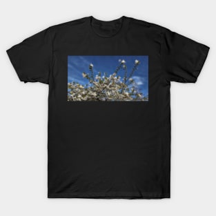 glowing springtime fruit blossom in glowing style T-Shirt